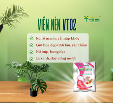 VIÊN NÉN VIỆT THÁI 02 - ĐẶT GỐC KÍCH RỄ CÂY HOA, TO GỐC TĂNG SẮC HOA