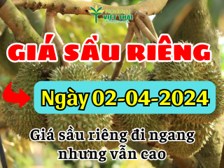 Cập nhật mới nhất giá sầu riêng hôm nay ngày 02/04/2024. Giá sầu riêng đi ngang nhưng vẫn cao chót vót