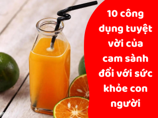 10 CÔNG DỤNG TUYỆT VỜI CỦA CAM SÀNH ĐỐI VỚI SỨC KHỎE CON NGƯỜI