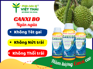 3 NGUYÊN NHÂN GÂY ĐỎ GAI, TÉT GAI, NỨT TRÁI SẦU RIÊNG?