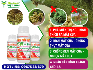BIỆN PHÁP XỬ LÝ ĐEN MẮT CUA – THỤT MẮT CUA SẦU RIÊNG MÙA MƯA