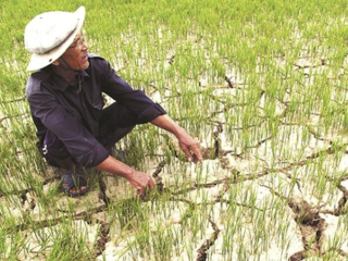 MỨC CẢNH BÁO HIỆN TƯỢNG EL NINO “NÓNG LÊN TOÀN CẦU" KÉO DÀI ÍT NHẤT ĐẾN THÁNG 4/2024