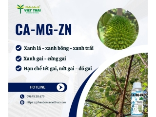 Phân Bón Chelate: Giải pháp tối ưu bổ sung vi lượng cho cây trồng