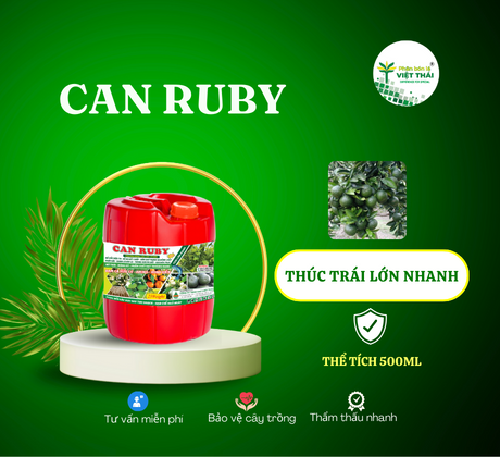 CAN RUBY - PHÂN BÓN DẠNG NƯỚC TƯỚI GỐC, CAN TO TRÁI NỞ GỐC CAM SÀNH