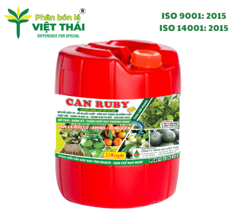 CAN RUBY - PHÂN BÓN DẠNG NƯỚC TƯỚI GỐC, CAN TO TRÁI NỞ GỐC CAM SÀNH