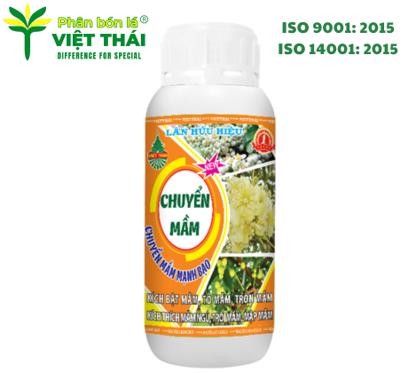 CHUYỂN MẦM SẦU RIÊNG - CHUYỂN MẦM MẠNH BẠO, KÍCH THÍCH MẦM NGỦ, TRỘI MẦM, TO MẦM, MẬP MẦM