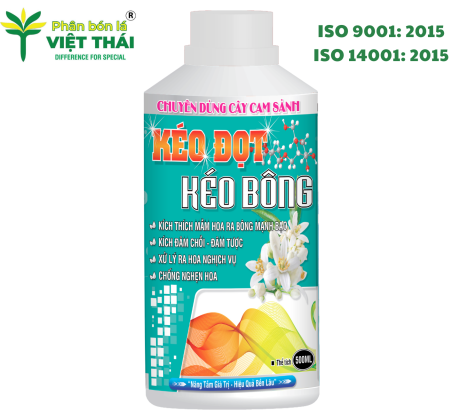 KÉO ĐỌT KÉO BÔNG - KÍCH ĐỌT CAM SÀNH, KÍCH BÔNG CAM SÀNH