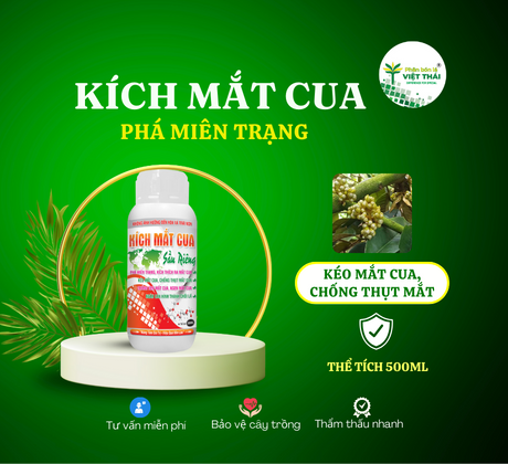KÍCH MẮT CUA - PHÁ MIÊN TRẠNG, KÉO MẮT CUA SẦU RIÊNG - CHỐNG ĐEN, NGHẸN MẮT CUA - NGĂN CẢN HÌNH THÀNH CHỒI LÁ 