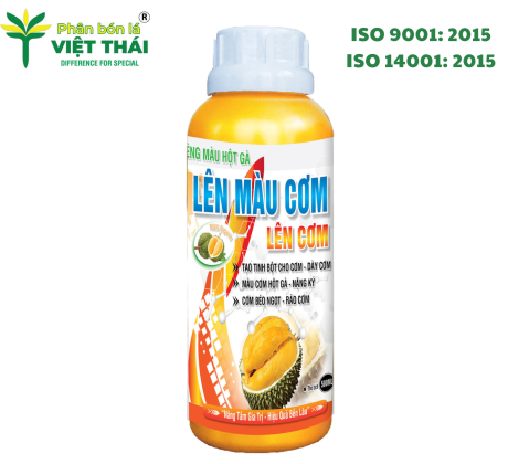 LÊN MÀU CƠM SẦU RIÊNG, LÊN CƠM - DÀY CƠM, TẠO TINH BỘT CHO CƠM, NGĂN NGỪA SƯỢNG MÚI SẦU RIÊNG, LỚN TRÁI