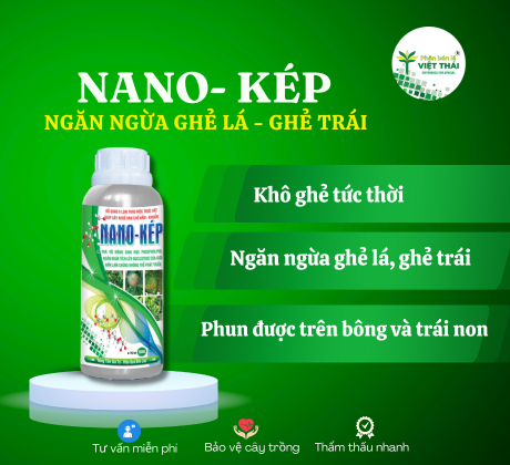 NANO KÉP - NGỪA GHẺ CÂY CÓ MÚI, TRỊ GHẺ CÂY CÓ MÚI, TRỊ GHẺ CÂY TRỒNG, TRỊ GHẺ CAM SÀNH