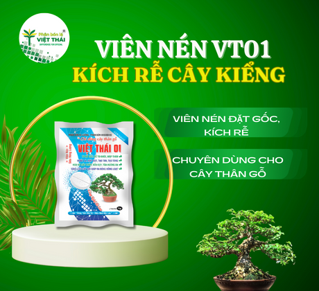 VIÊN NÉN VIỆT THÁI 01 - ĐẶT GỐC KÍCH RỄ CÂY KIỂNG, PHÂN BÓN TO GỐC CÂY CẢNH