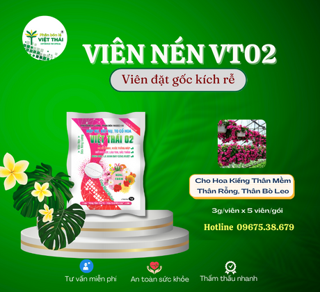 VIÊN NÉN VIỆT THÁI 02 - ĐẶT GỐC KÍCH RỄ CÂY HOA, TO GỐC TĂNG SẮC HOA