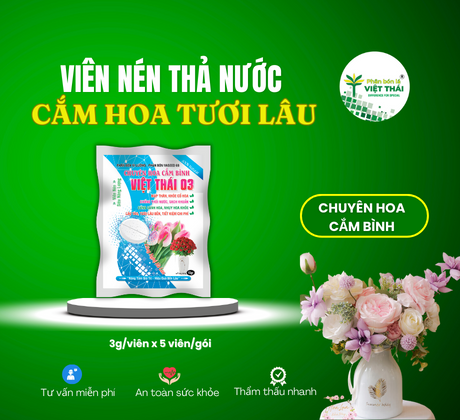 VIÊN NÉN VIỆT THÁI 03 - VIÊN NÉN THẢ NƯỚC CẮM BÌNH GIÚP HOA TƯƠI LÂU, CHỐNG THỐI NƯỚC