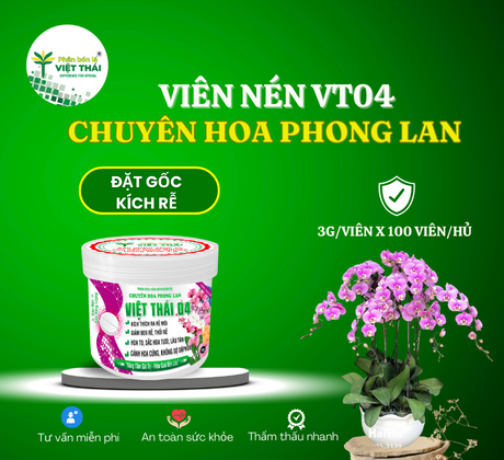 VIÊN NÉN VIỆT THÁI 04 - ĐẶT GỐC KÍCH RỄ CÂY PHONG LAN, TĂNG SẮC HOA, CHỐNG THỐI NHŨN