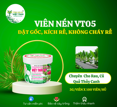 VIÊN NÉN VIỆT THÁI 05 - LÁ XANH DÀY, BÔNG BÚP TO MẬP, CÂN BẰNG PH, BẢO QUẢN LÂU - VẬN CHUYỂN XA