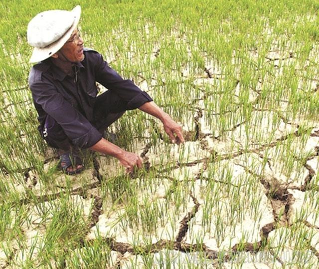 Hiện tượng El Nino là gì? Giải thích nguyên nhân, tác hại của El Nino